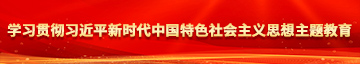 大鸡吧互操学习贯彻习近平新时代中国特色社会主义思想主题教育